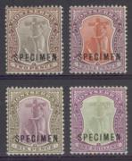 Click here for product details