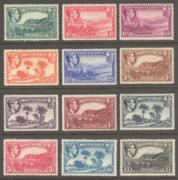 Click here for product details