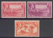 Click here for product details