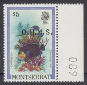 Click here for product details