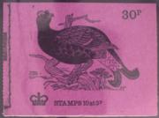 Click here for product details