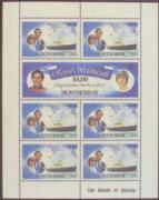 Click here for product details