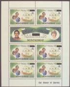 Click here for product details