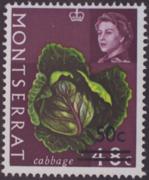 Click here for product details