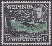 Click here for product details