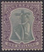 Click here for product details