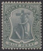 Click here for product details