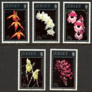 Click here for product details