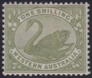 Click here for product details