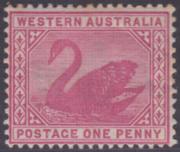 Click here for product details