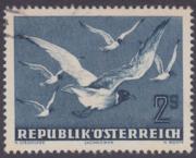 Click here for product details