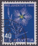 Click here for product details