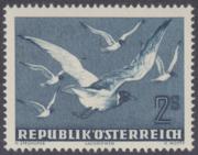 Click here for product details