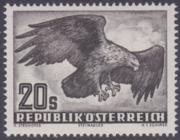 Click here for product details