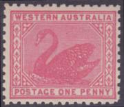 Click here for product details