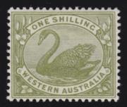 Click here for product details