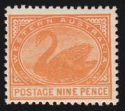 Click here for product details