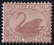 Click here for product details