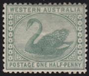 Click here for product details