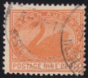 Click here for product details