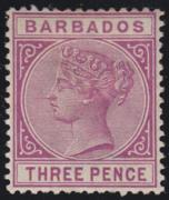 Click here for product details