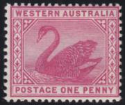 Click here for product details