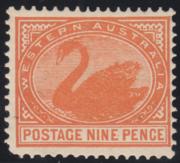 Click here for product details