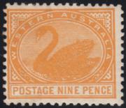 Click here for product details