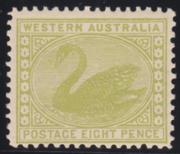 Click here for product details