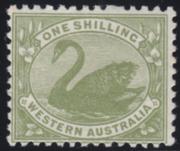 Click here for product details